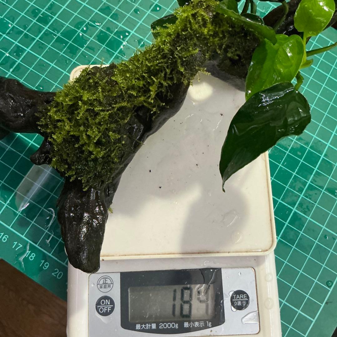 is.ikeda.0001様 リクエスト 2点 まとめ商品