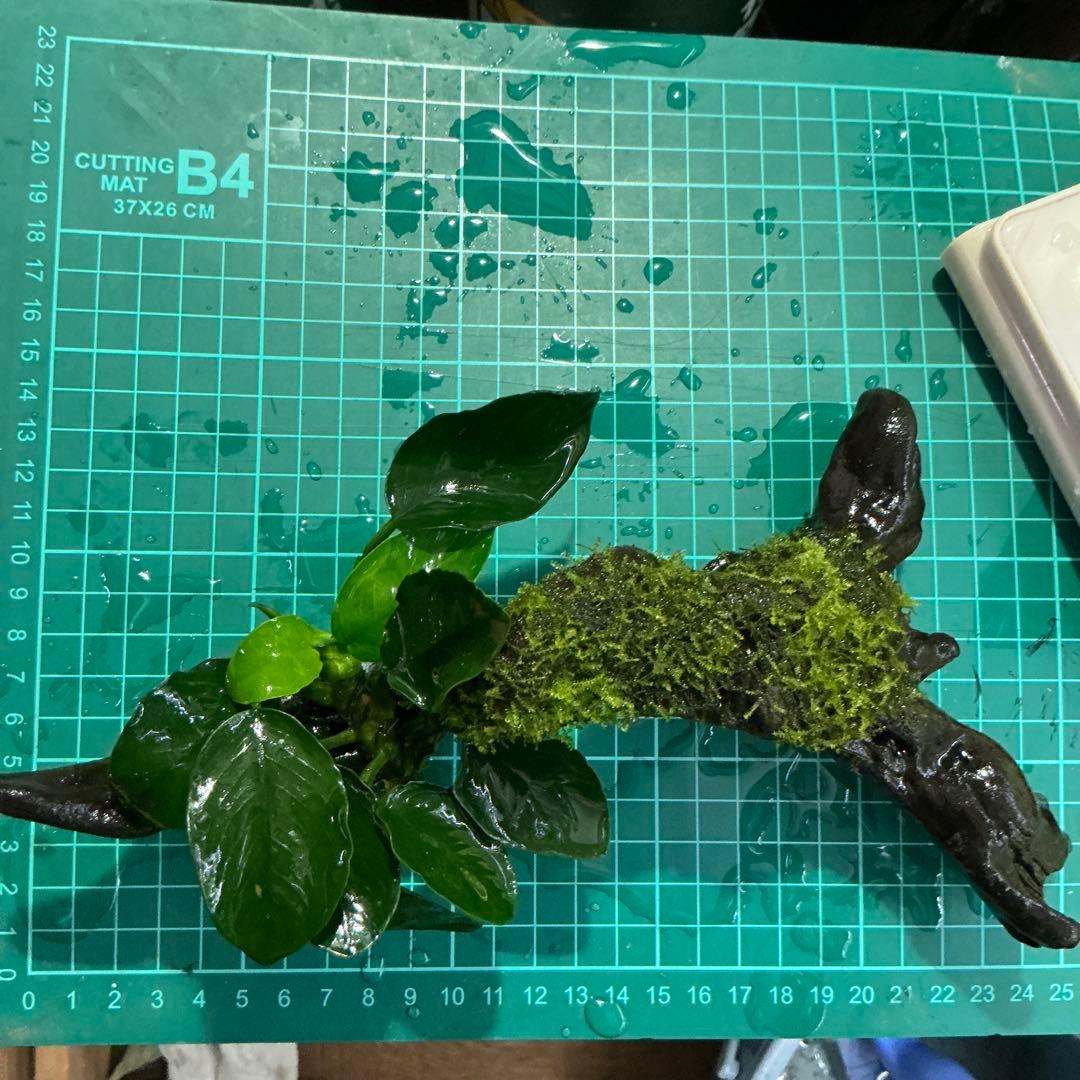 is.ikeda.0001様 リクエスト 2点 まとめ商品