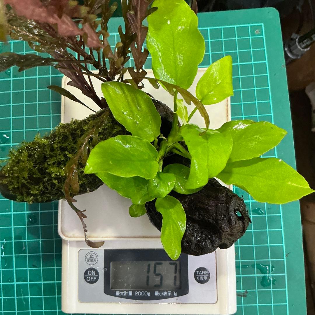 is.ikeda.0001様 リクエスト 2点 まとめ商品