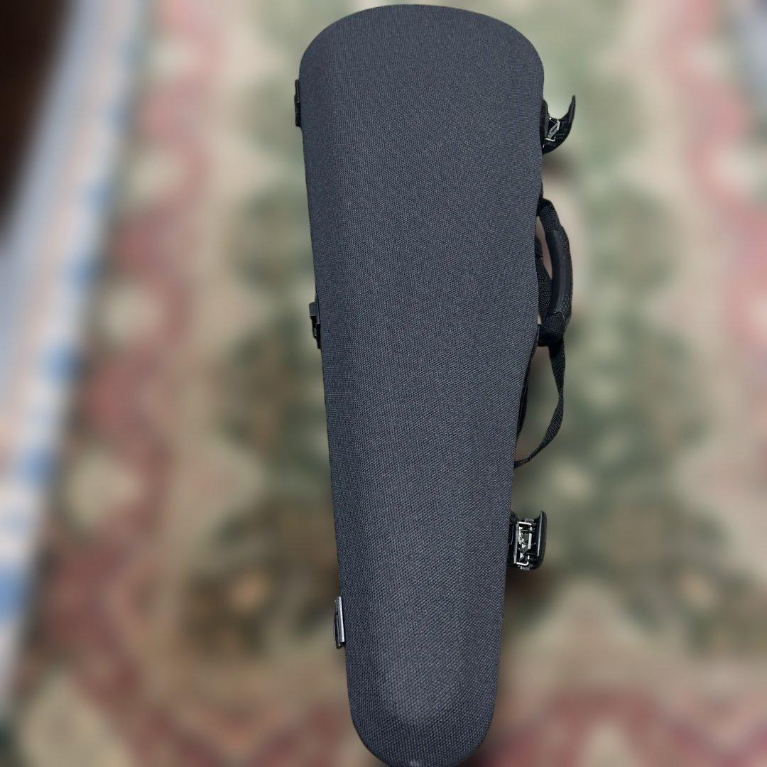 ヴァイオリン　paesold