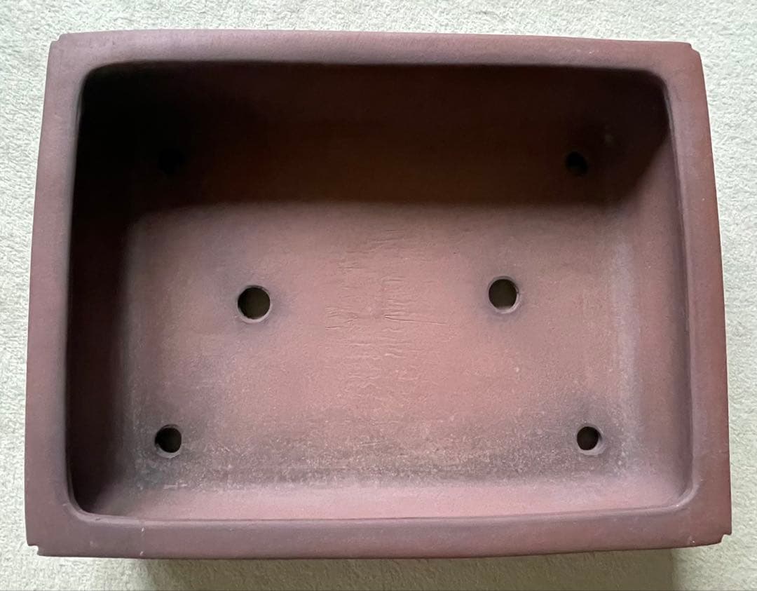 礼峰　盆栽　鉢　48.5cm　長方鉢　大型