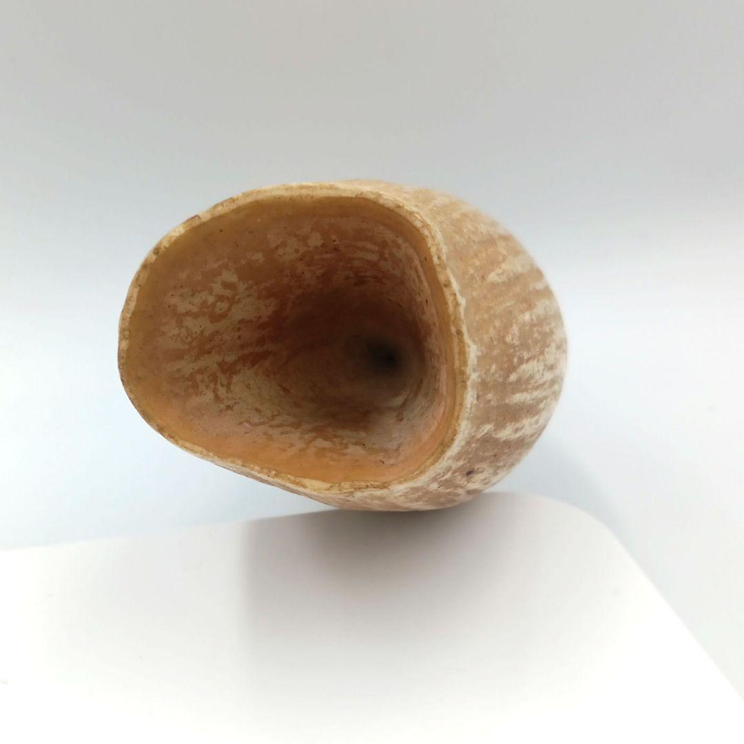 マッコウクジラ 歯 鯨歯 特大 422g 印材や工芸品の素材などに