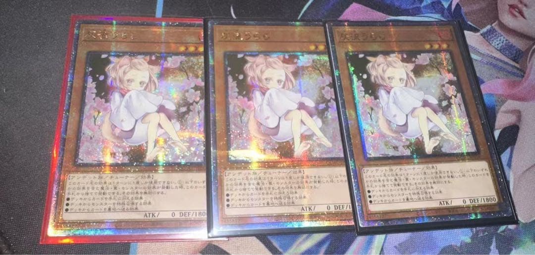 遊戯王 アジア版　灰流うらら 絵違い 25th 3枚