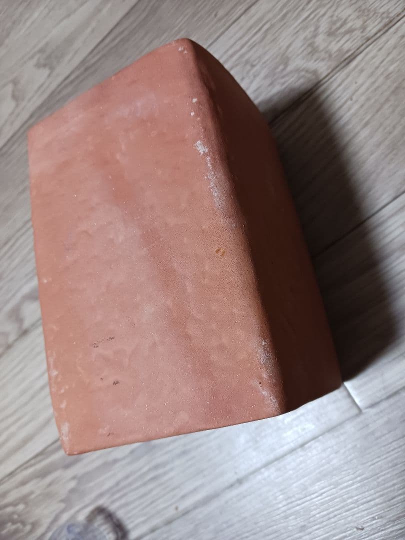 シマリス 飼育セット