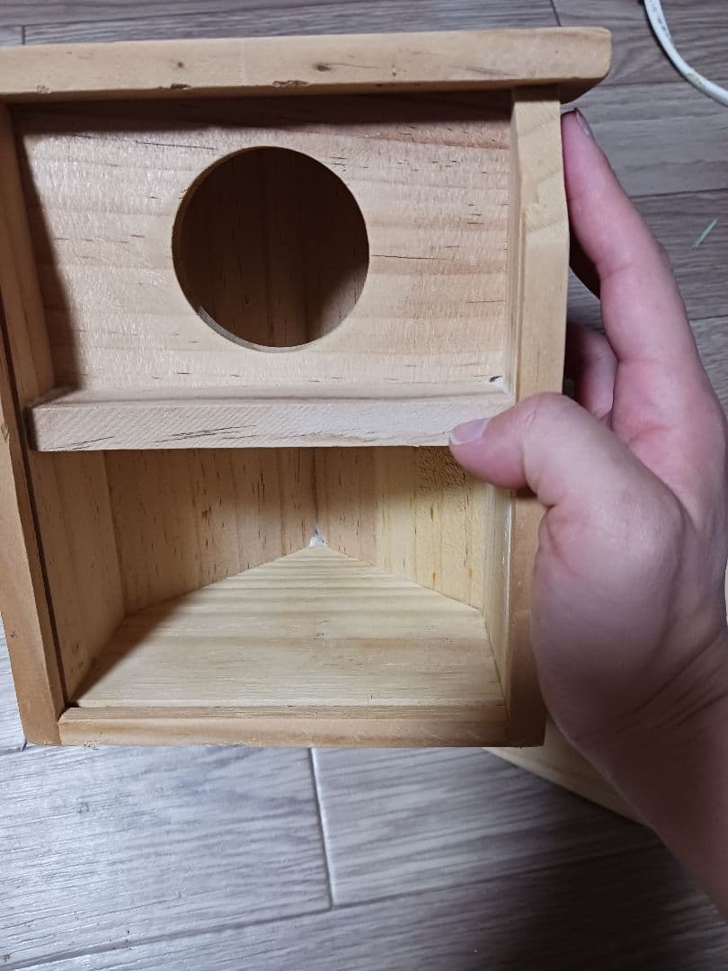 シマリス 飼育セット