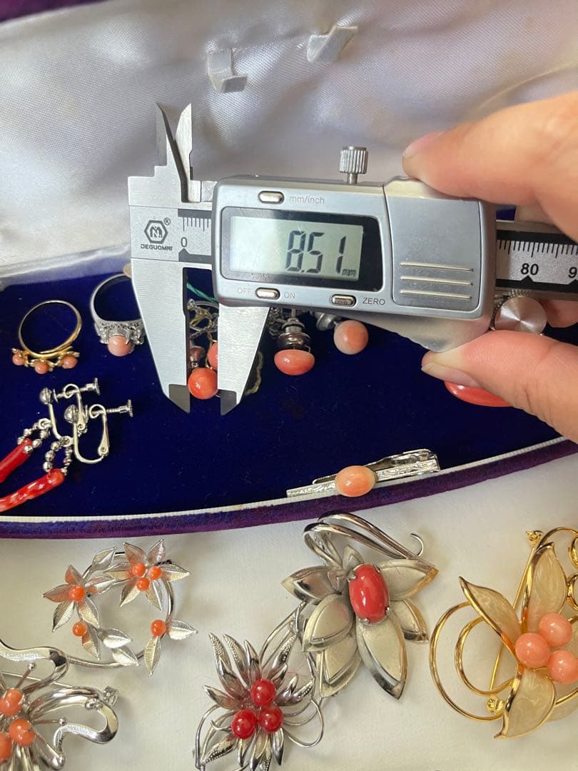 珊瑚、珊瑚風、アクセサリープロチまとめ（205）