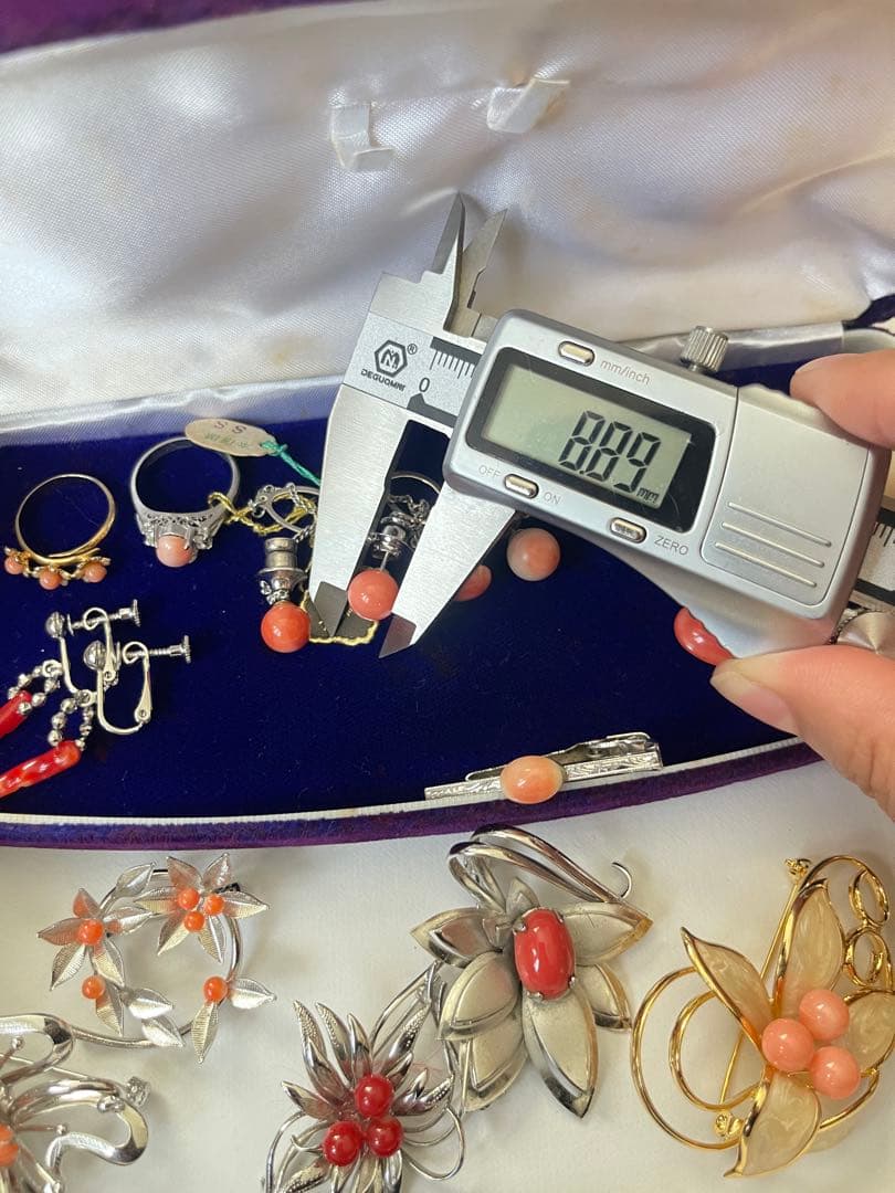 珊瑚、珊瑚風、アクセサリープロチまとめ（205）