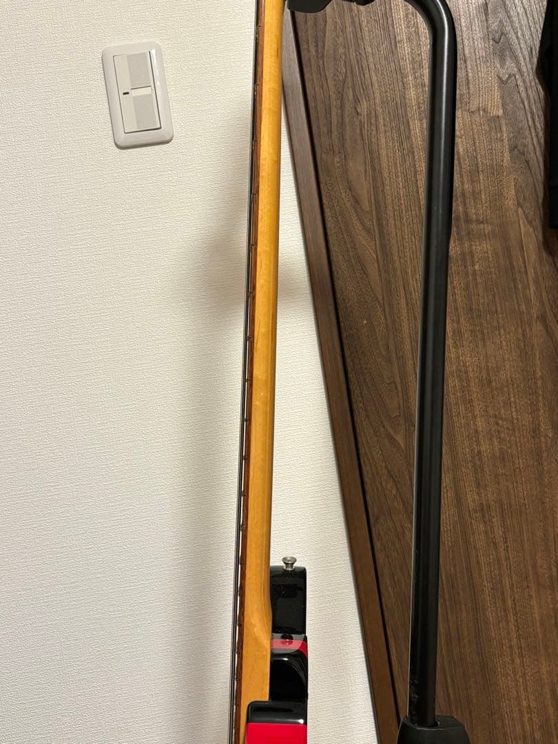 10FEET ナオキモデル ベース バーニー