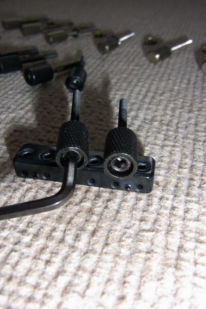 c*9様 STEINBERGER R-Trem チューニングノブ、ストリング・ア