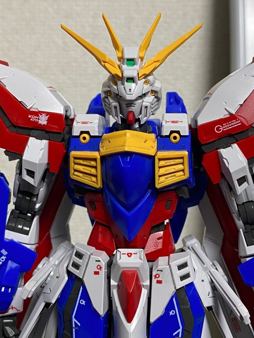 FAT CAT 太虎 1/100 RG拡大版 ゴッド