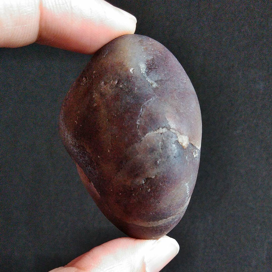 恐竜　化石　標本　胃石　ジュラ紀　52mm