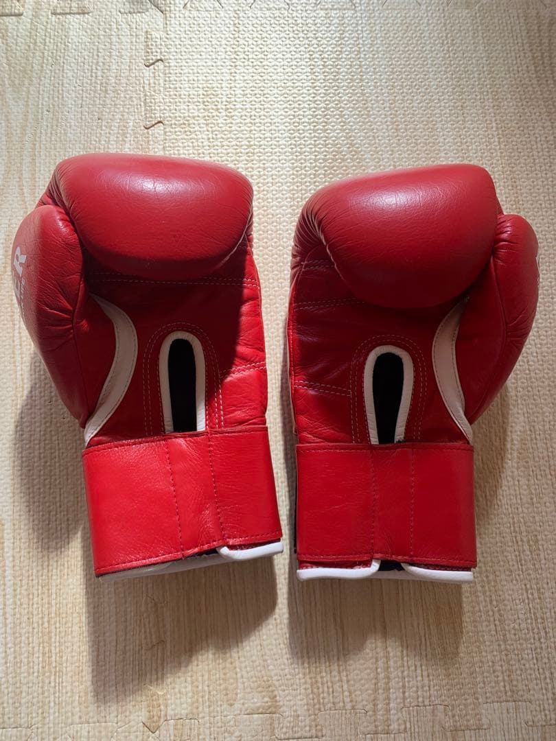 BOXER ボクシンググローブ HARD KNOCK LIFE 赤