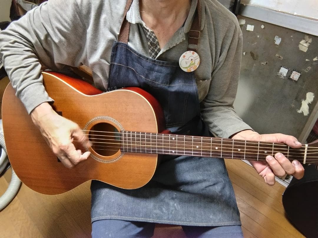 ❤️弦高調整済「シーガル S6+FOLK MEQ エレアコ 」＋ケース　指弾き良