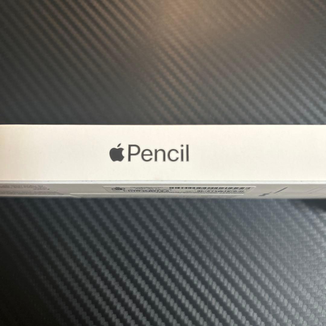 iPadアクセサリー Apple Pencil (USB-C)
