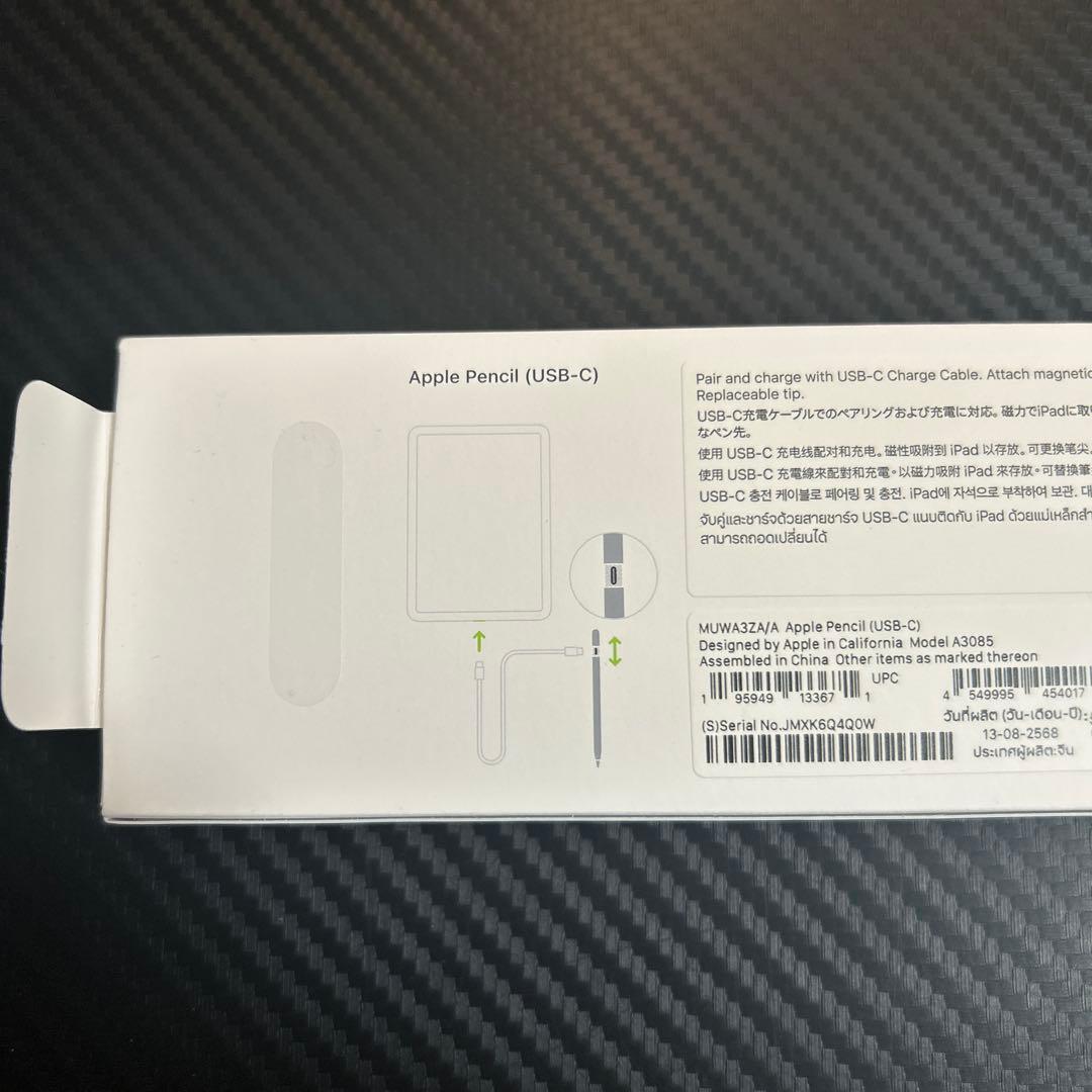 iPadアクセサリー Apple Pencil (USB-C)