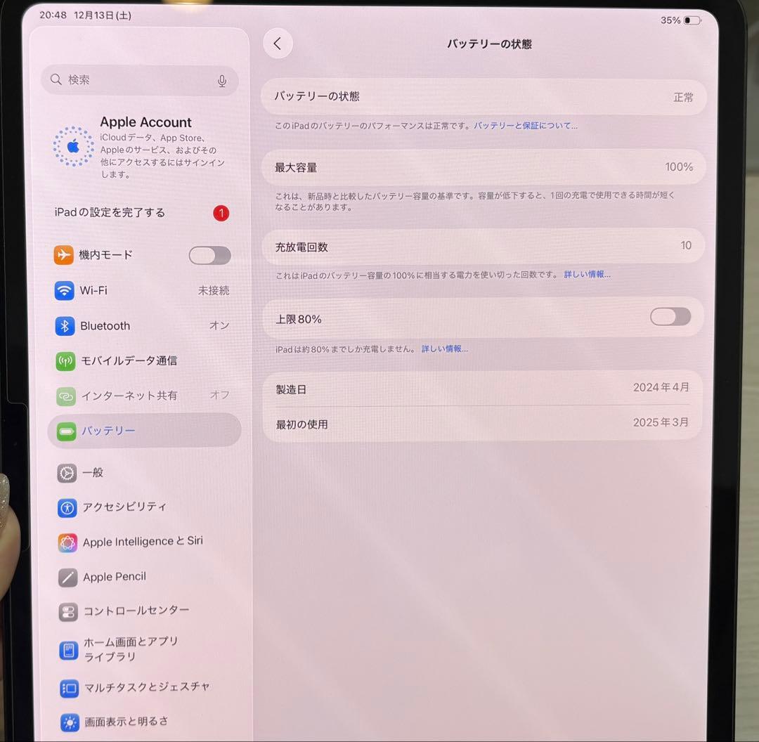 Apple iPad Pro M4 13インチ セルラー　256GB 100%