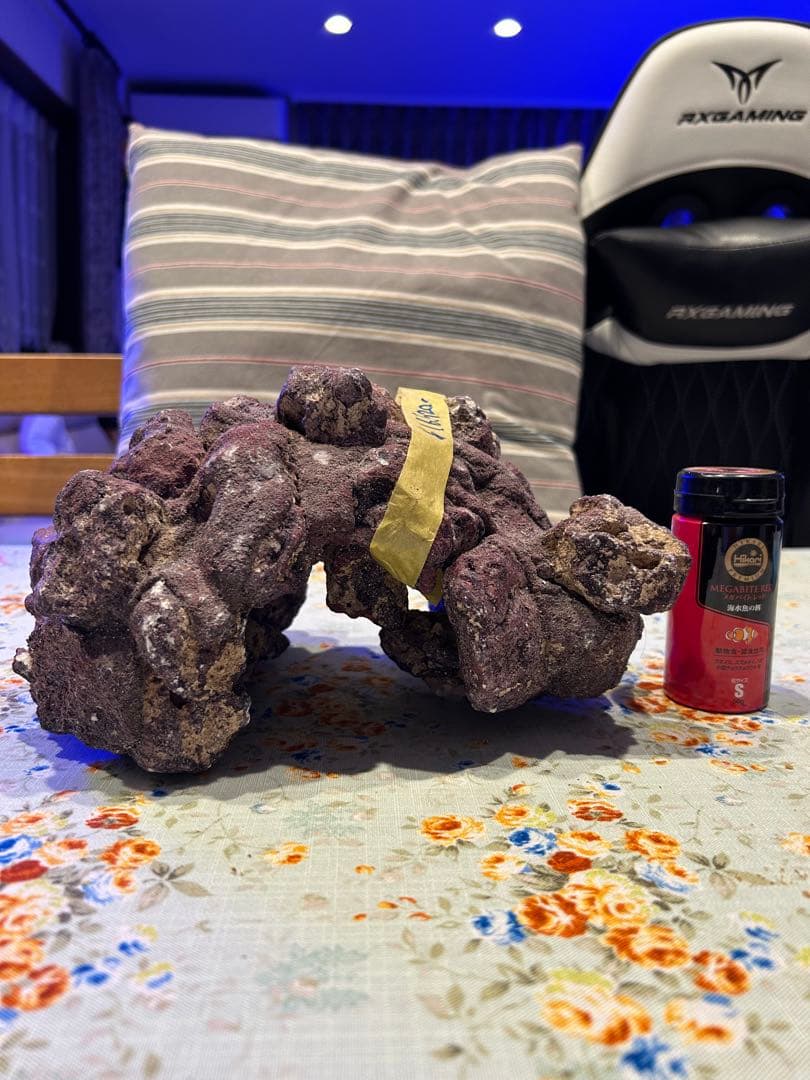 ライブロック新品未使用　休眠バクテリア付き　ドーム型　横幅 25cm、4kg