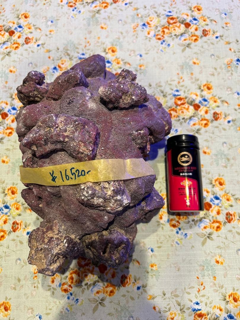 ライブロック新品未使用　休眠バクテリア付き　ドーム型　横幅 25cm、4kg