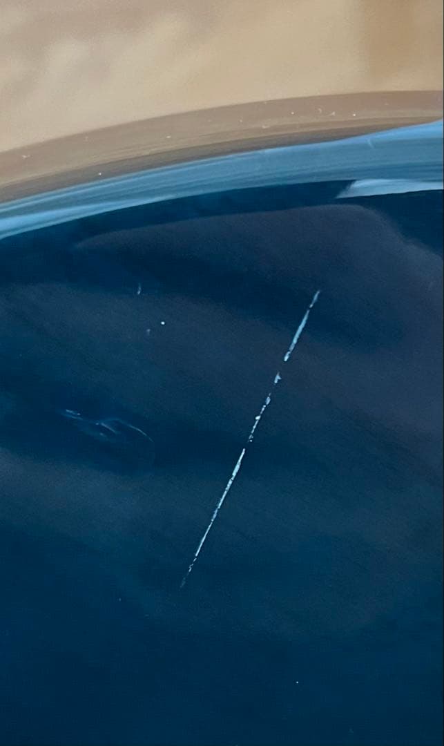 【超軽量3.5kg】TOKAI Love Rock スタジオplek調整済