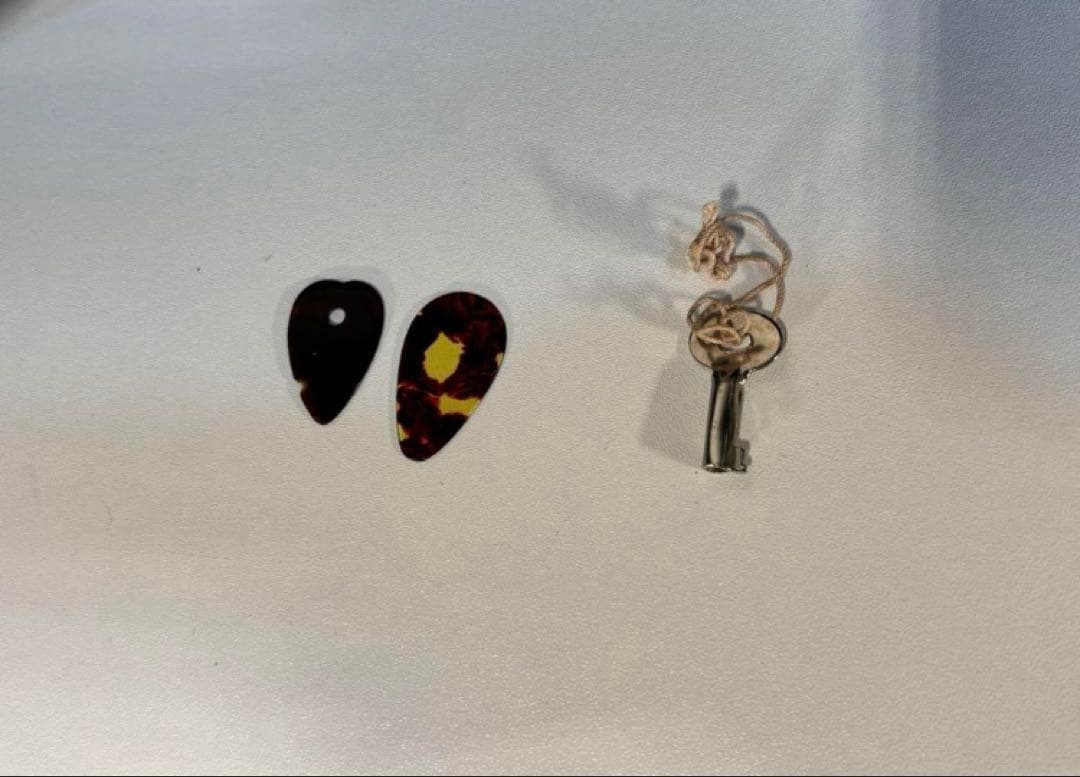 マンドリン SUZUKI m-30 ケース付き