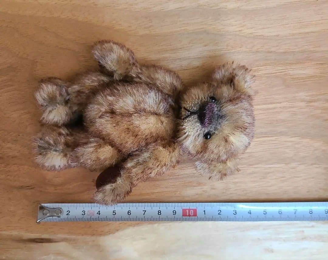 作家テディベア