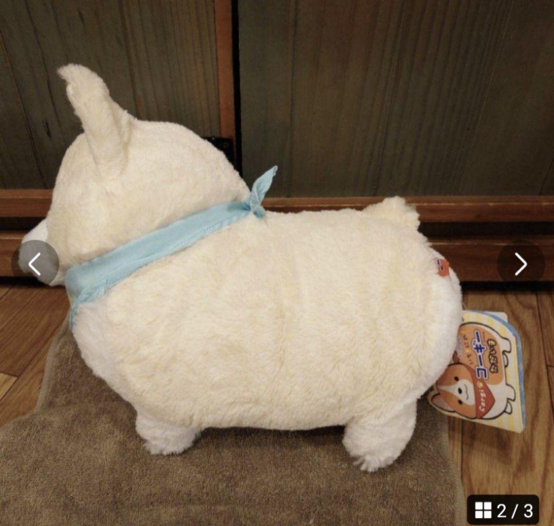 いち！にの！コーギー ただいま  むぎちゃん JB