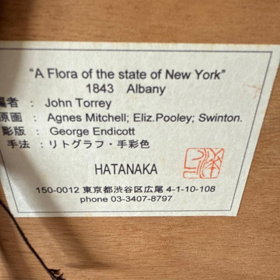 ボタニカルアート額縁絵　アンティーク