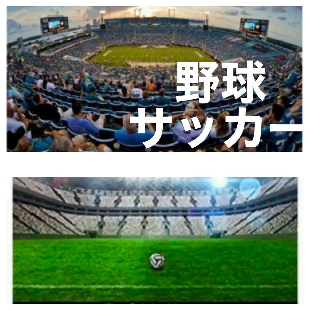 Canon EOSRシリーズ対応！望遠レンズ！これは凄い！袋付き！アダプター付き