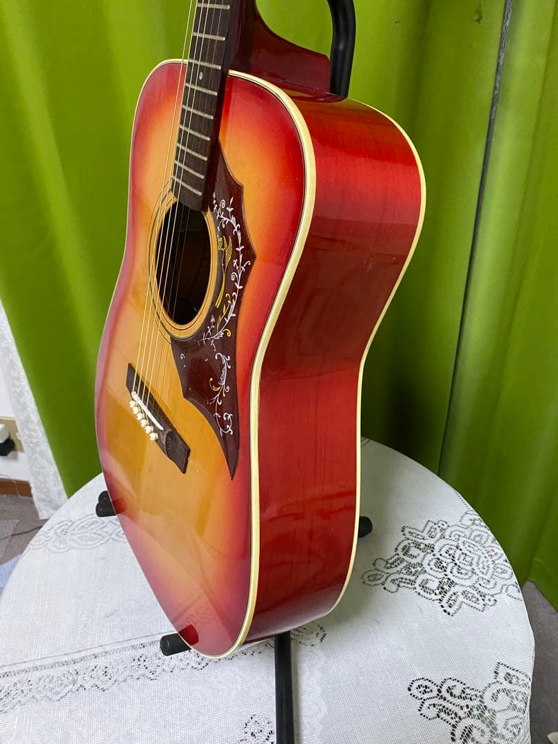 新春特価　ZenOn Roje ハミングバード　エレアコ 音出良好