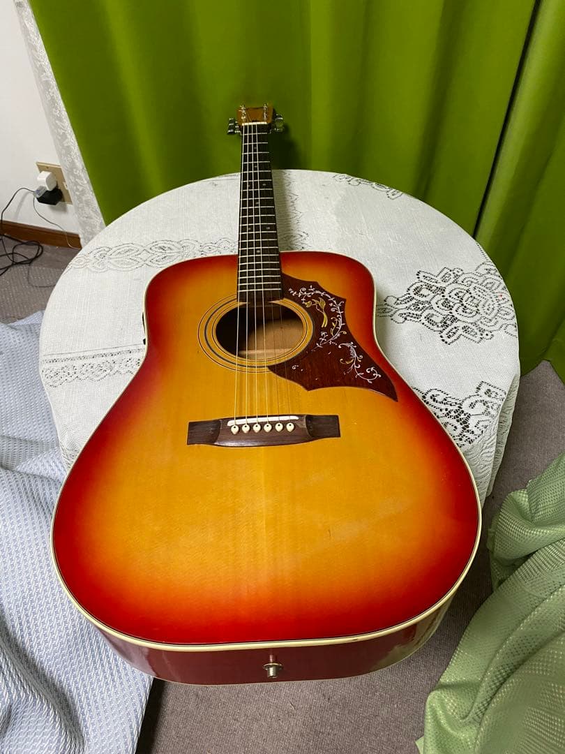 新春特価　ZenOn Roje ハミングバード　エレアコ 音出良好