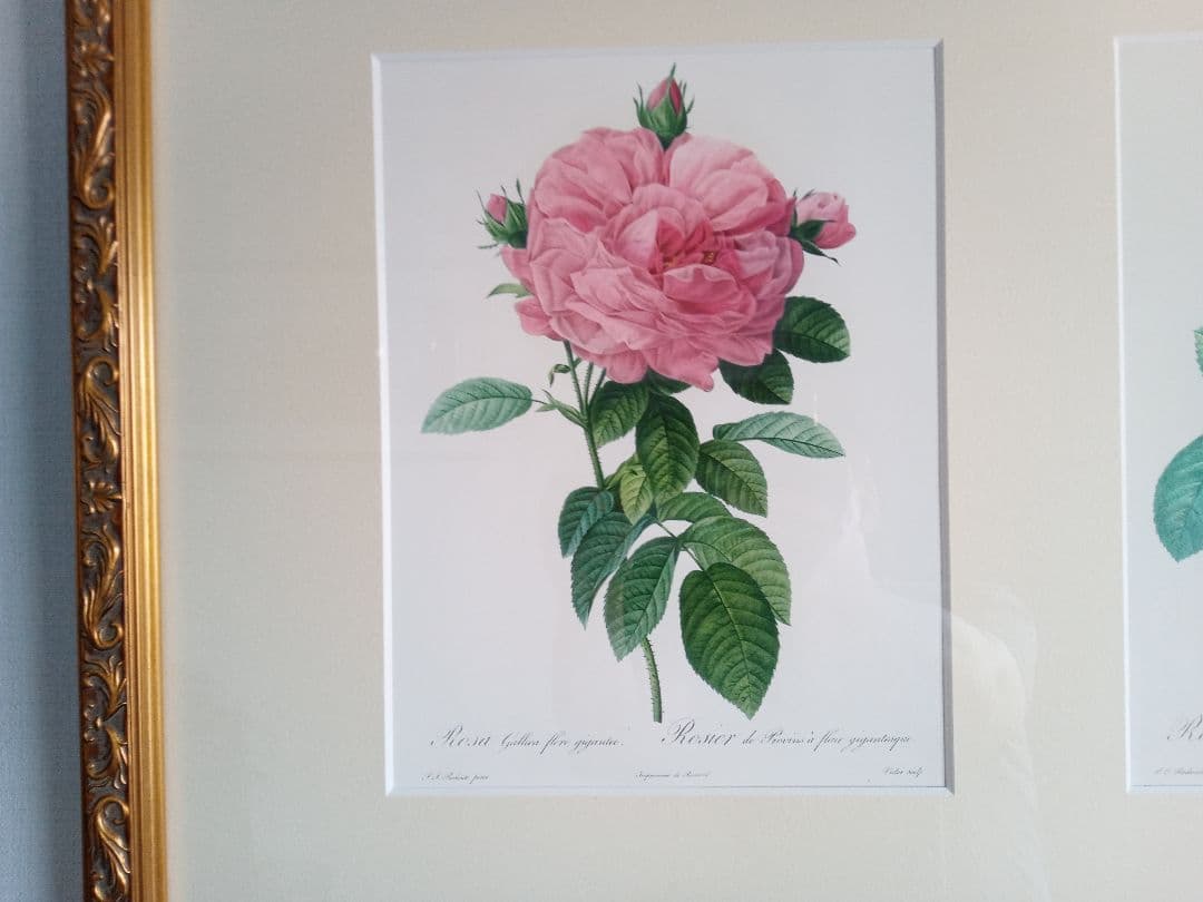 ルドゥーテ　大型アートパネル