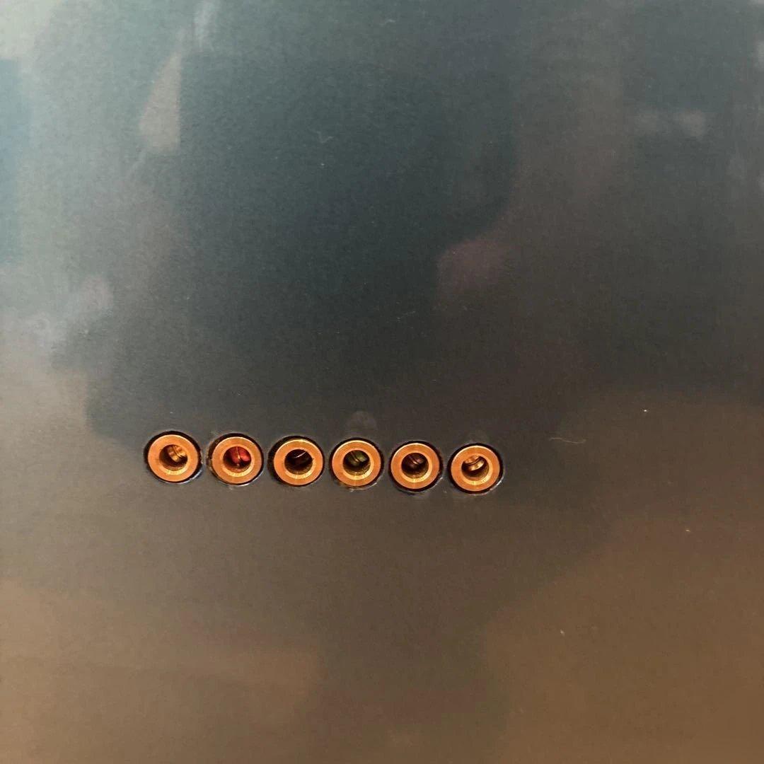 【ハルス】Bacchus Universe テレキャス ゴールドパーツ仕様