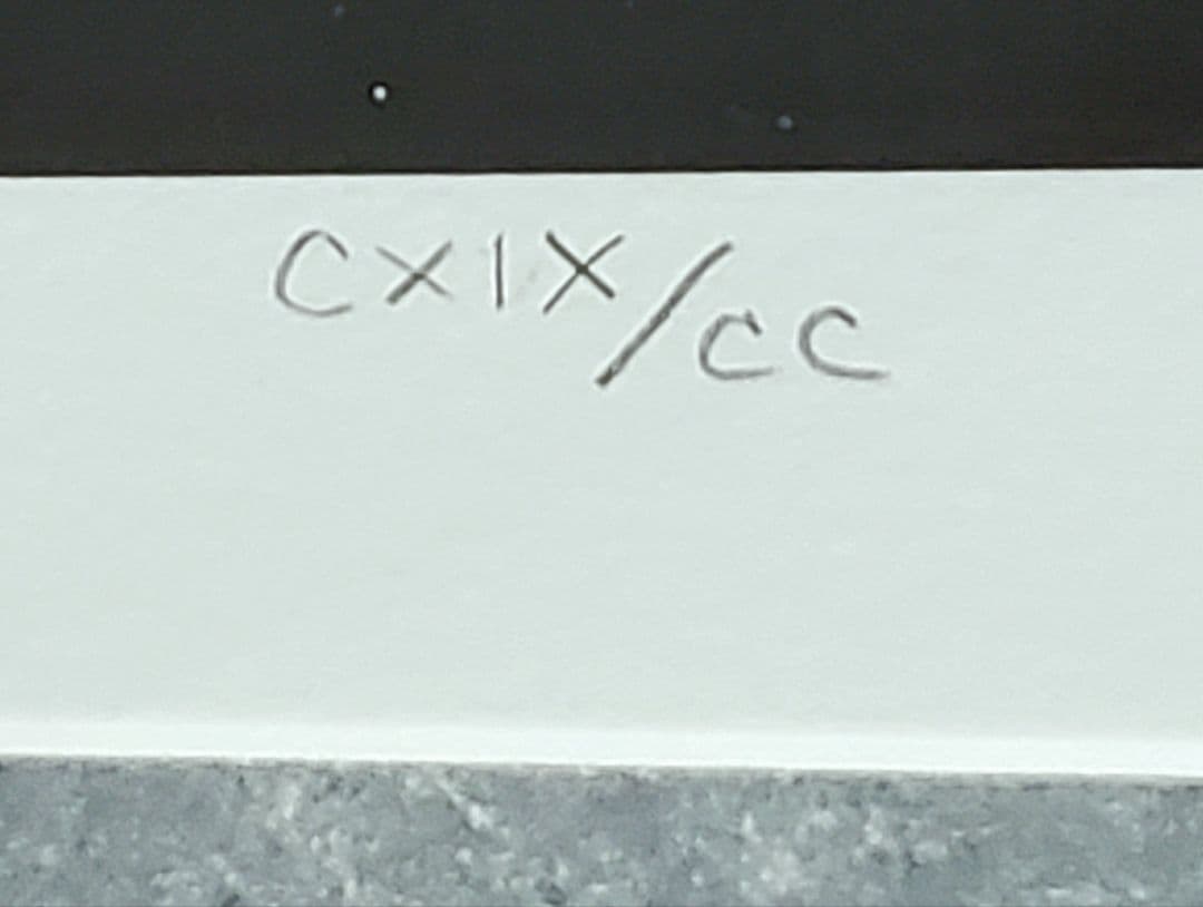 追悼【ドゥルー・ストゥルーザン】直筆サイン入『スター・ウォーズ☆トリロジーSP』