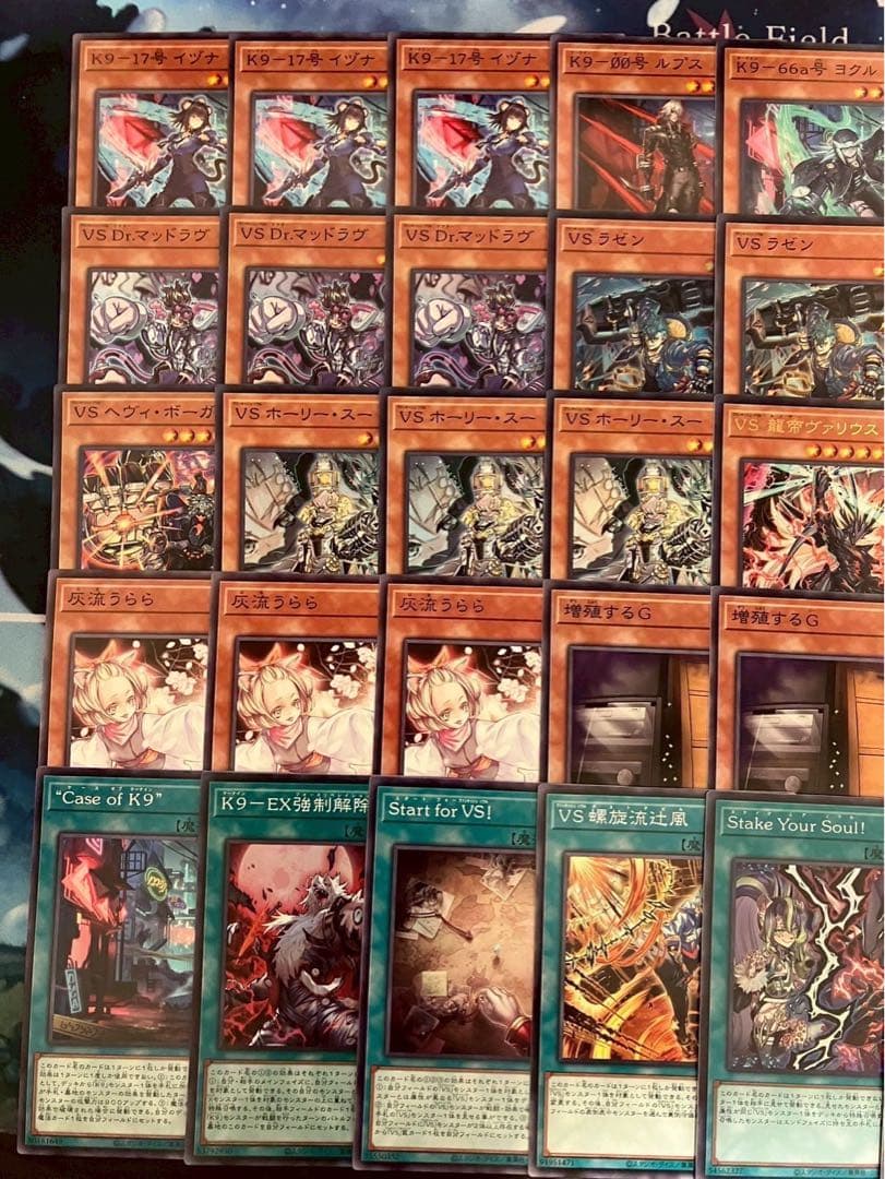 フォロワー様5%オフ　大会構築　K9VSデッキ　①