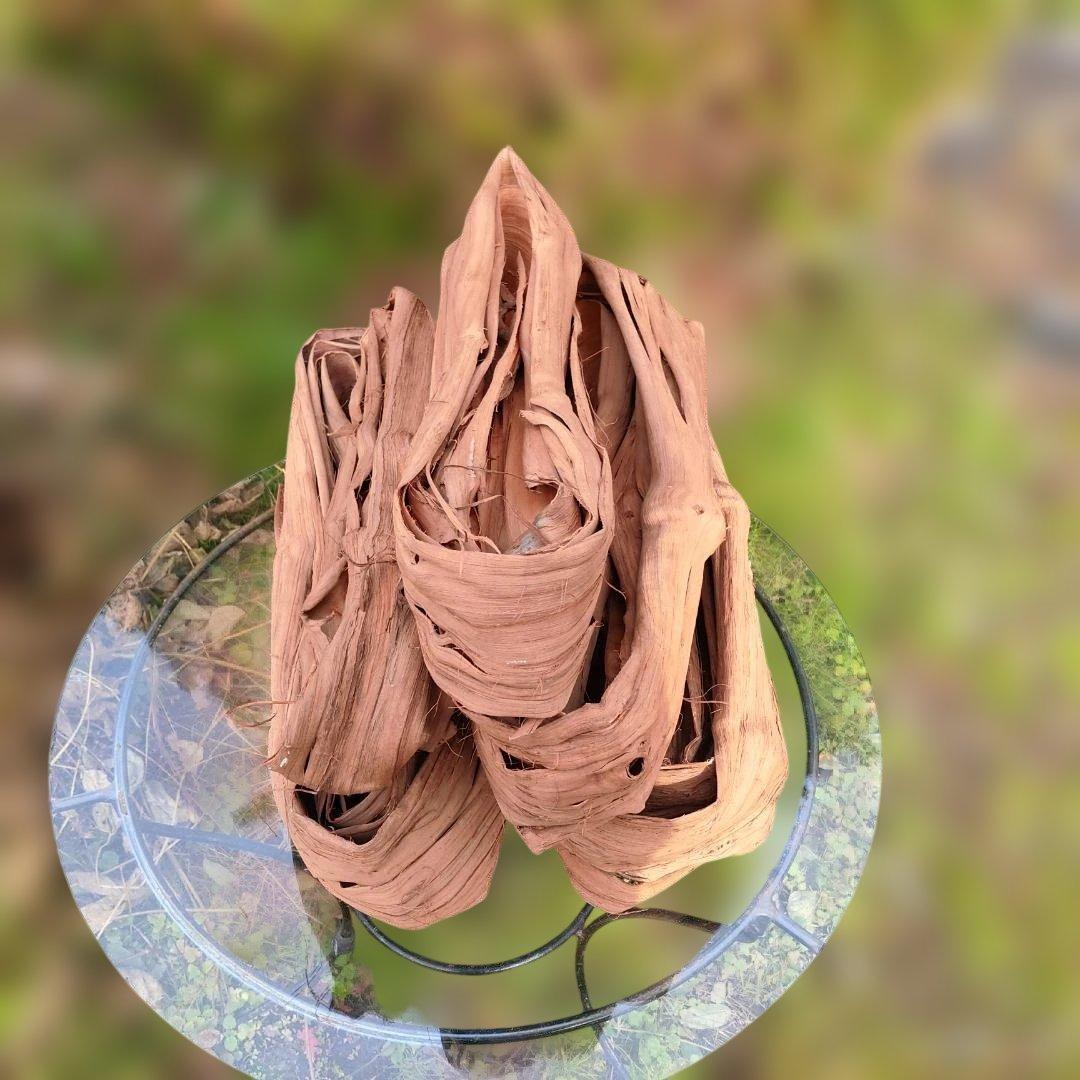 さーちゃん 青森岩木山産 山葡萄 皮 樹皮 約2kg+B品3kg