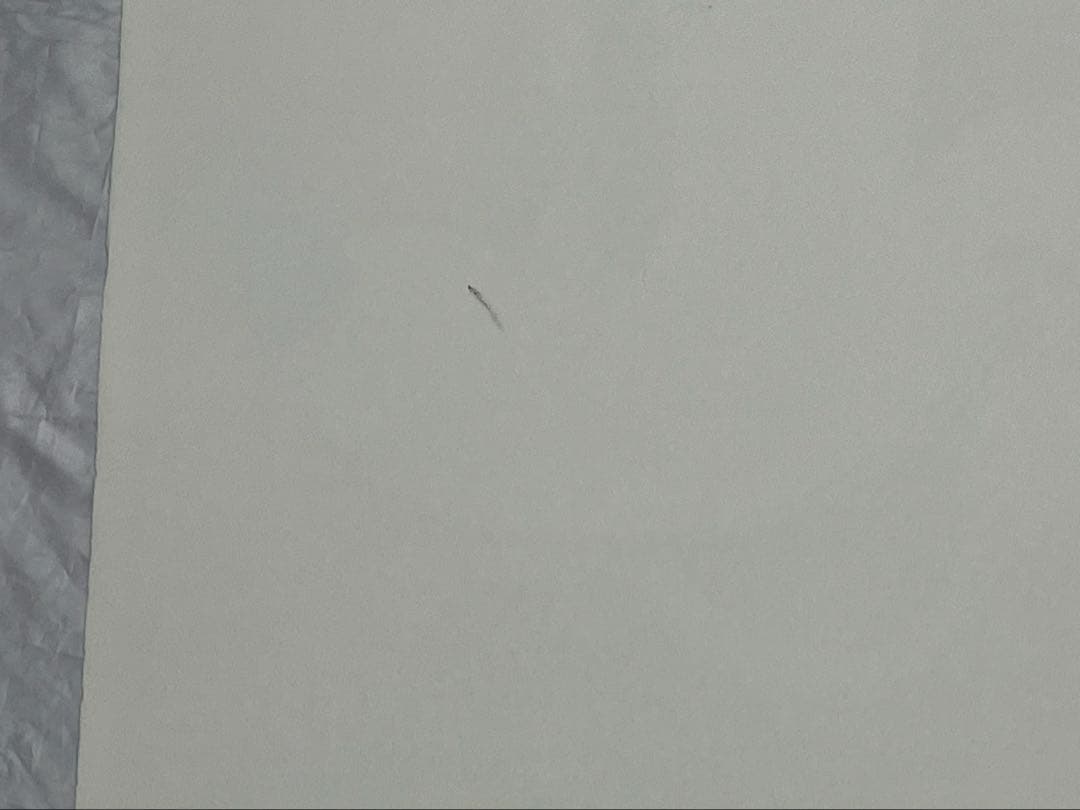 i*t様 【模写】限定100枚 アート品 アンディ・ウォーホル ミッキーマウス