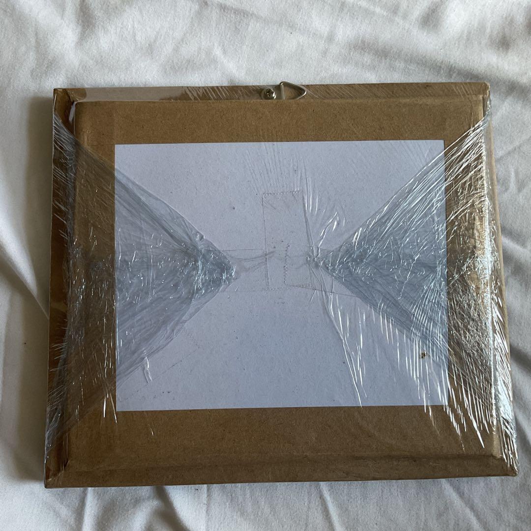 アゲハ蝶　ブルメイアゲハ　標本