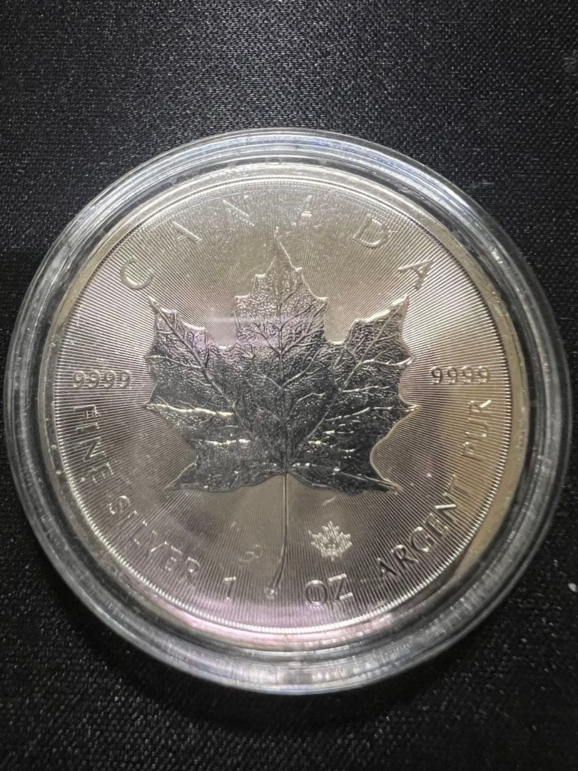 カナダ 1オンス メープルリーフ銀貨 管理番号31