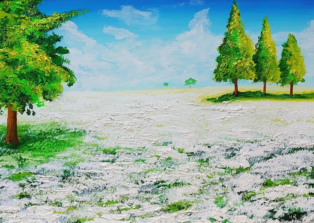 油絵 絵画 咲いた白の広場【Ａ3】