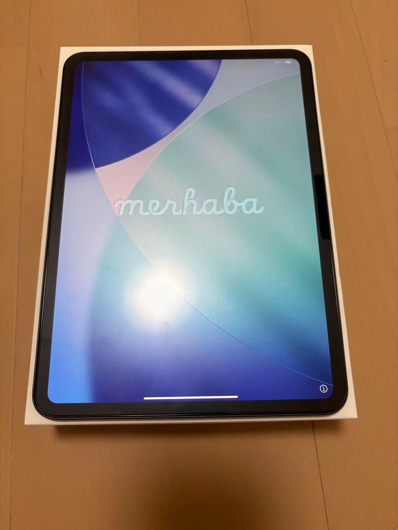 iPad Pro M4 11インチ