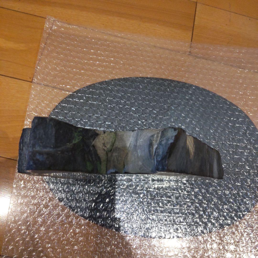 #化石(樹木)６月 価格