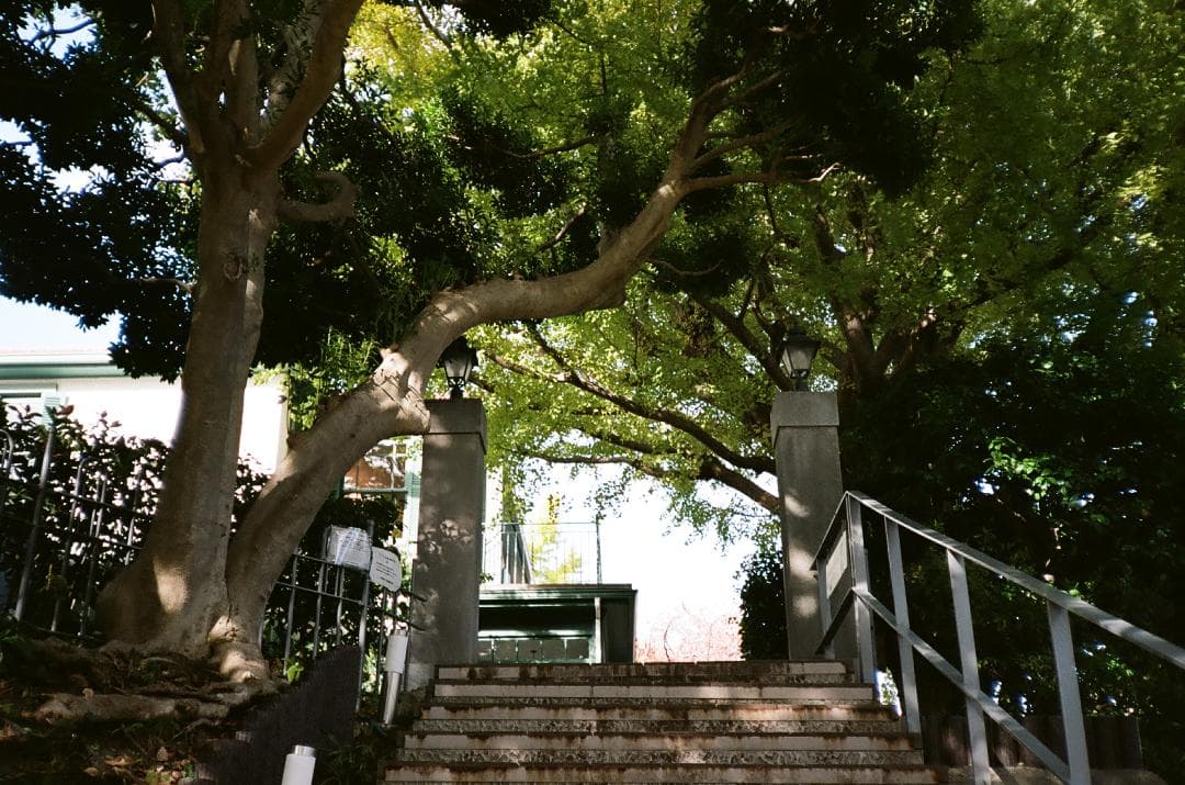 美品 KONICA C35 flashmatic 161249【整備・試写済】