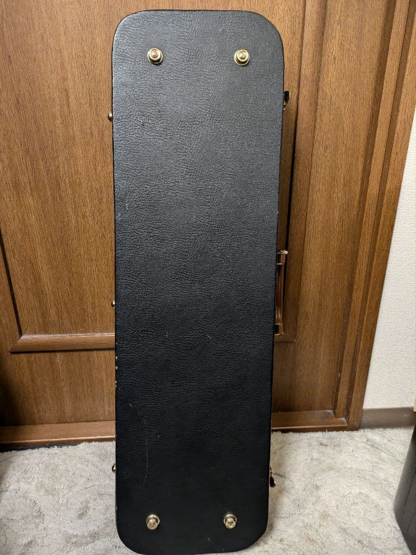 弦楽器 Fender FV-3