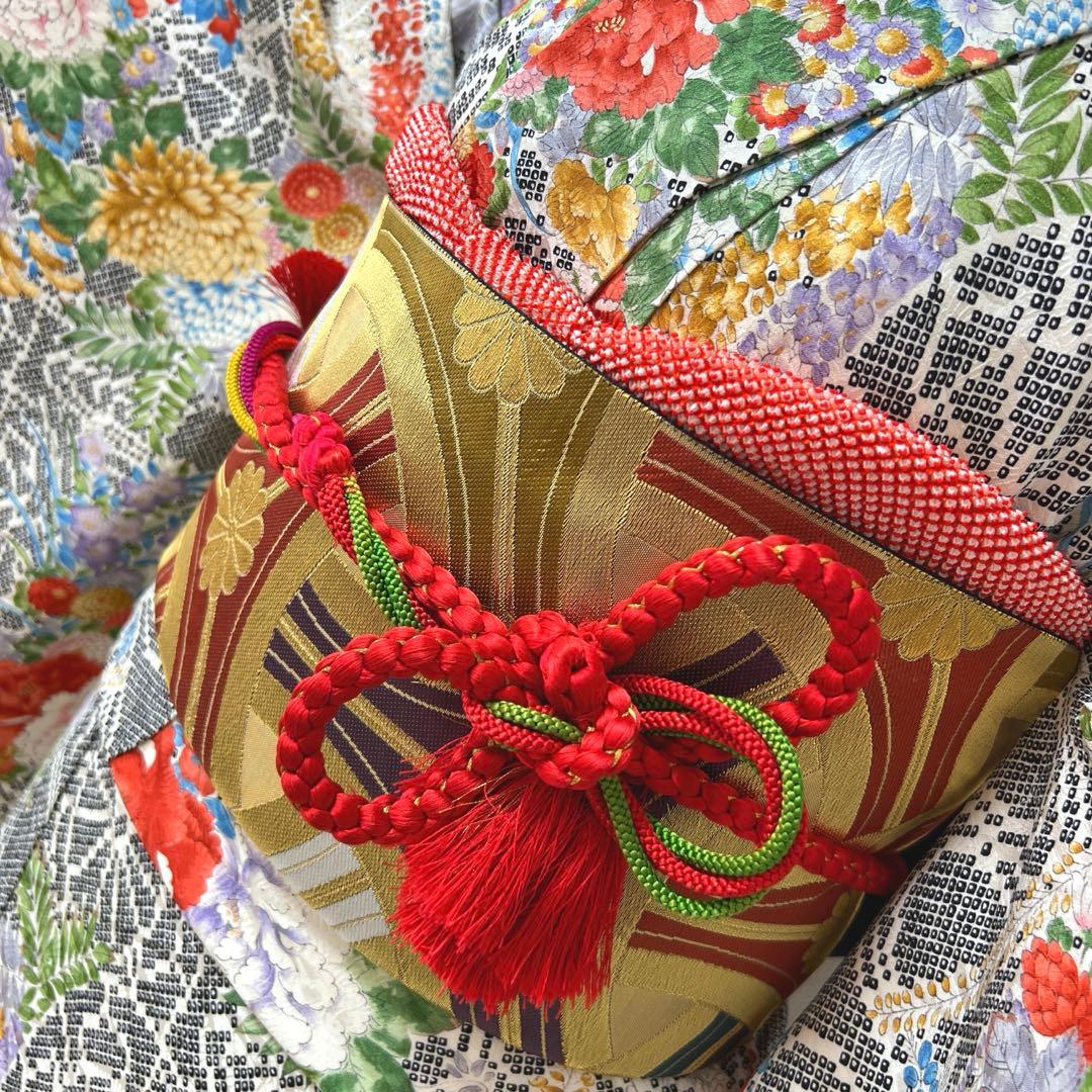 438 振袖フルセット 正絹 黒 赤 金彩 手描き 総柄 小紋 セミアンティーク