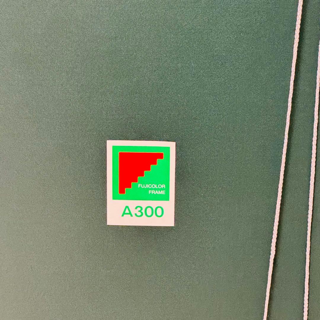 【4枚セット！】フジカラー A300 全紙 アルミ額縁