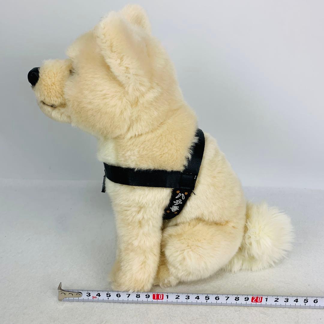 レア　国立科学博物館　秋田犬　ハチ　ぬいぐるみ　おすわり　ハチ号