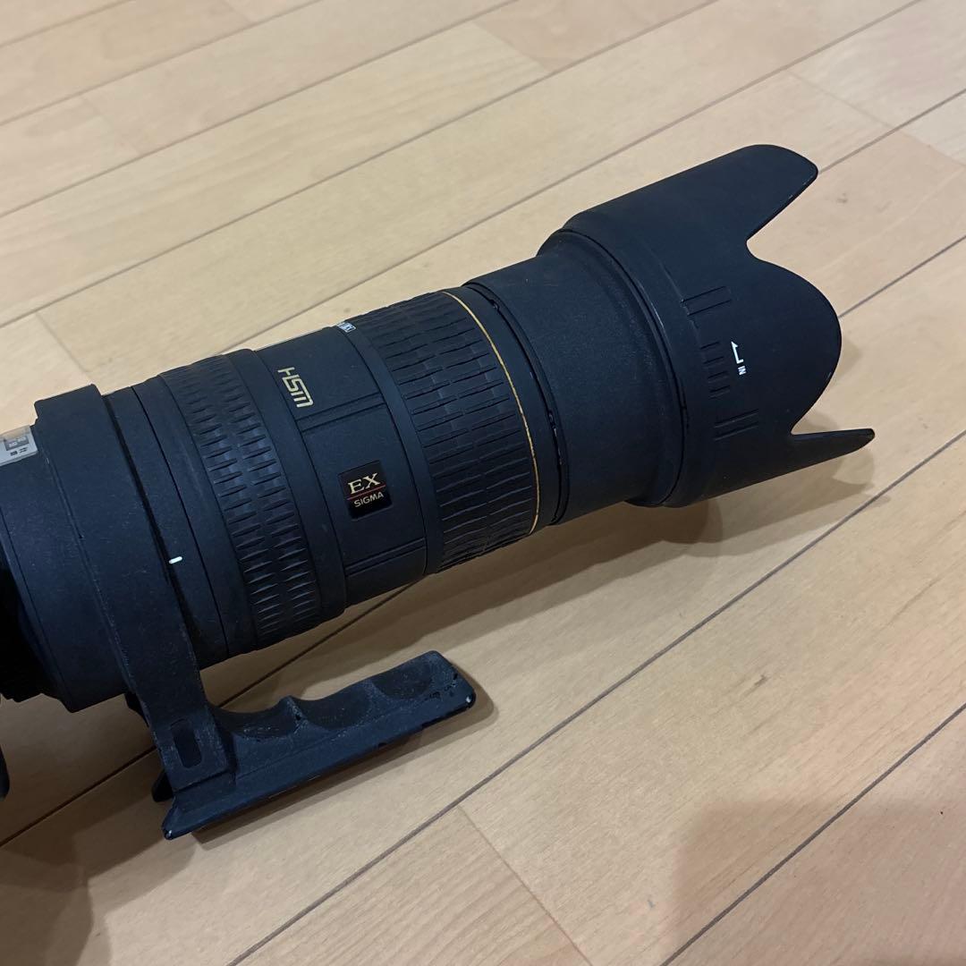 Nikon用／SIGMA　50-500mm　超望遠　ズームレンズ