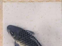 【真作】掛軸　室田秀太郎　鯉図　生命感溢れる精緻な筆致　共箱入　S2