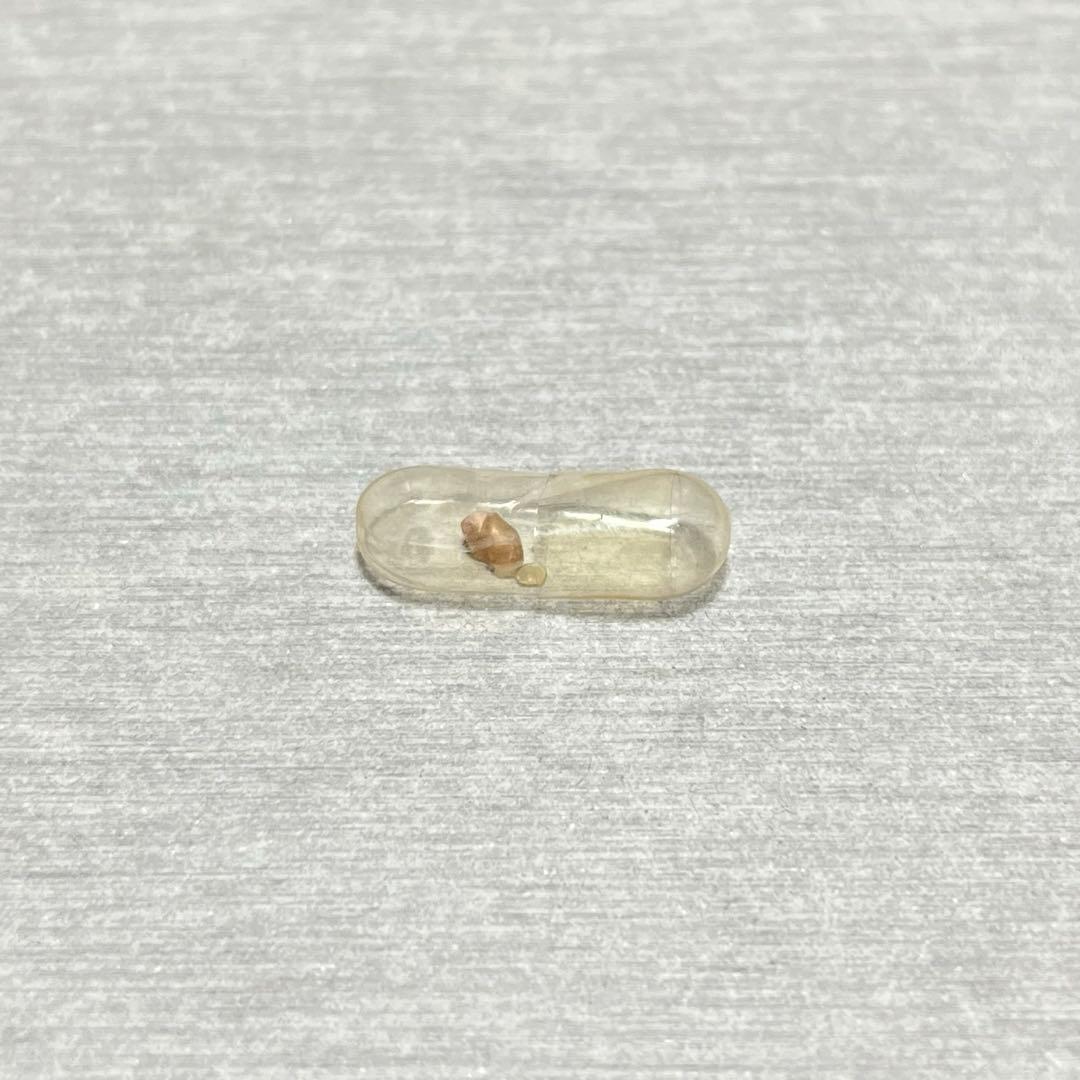 m*g様 ラスト1点　激レア　美品　大分県産　蓋付き　オンセンゴマツボ