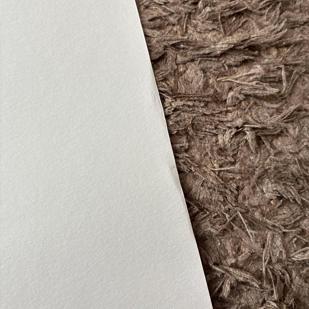 チャーリー・ブラウン VS スヌーピー ポスター